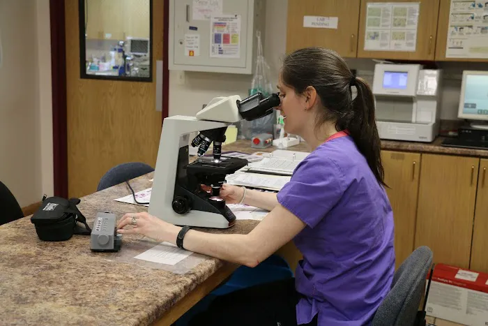 Broadway Veterinary Clinic 5