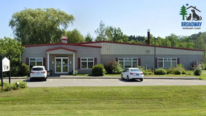 Broadway Veterinary Clinic 10