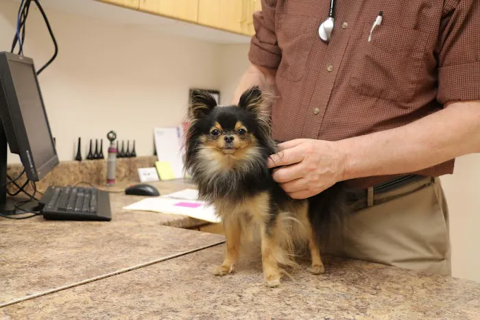 Broadway Veterinary Clinic 6