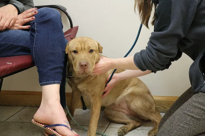Broadway Veterinary Clinic 3
