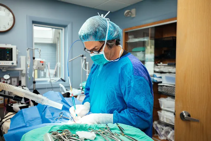 Veazie Veterinary Clinic 2