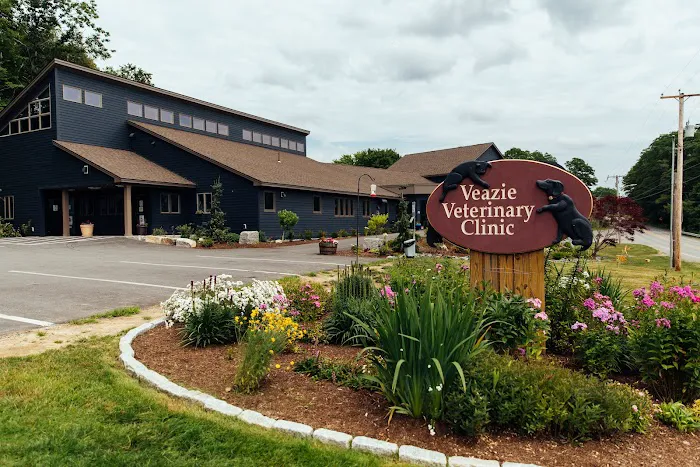 Veazie Veterinary Clinic 3