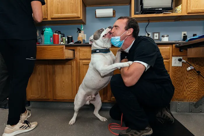 Veazie Veterinary Clinic 9
