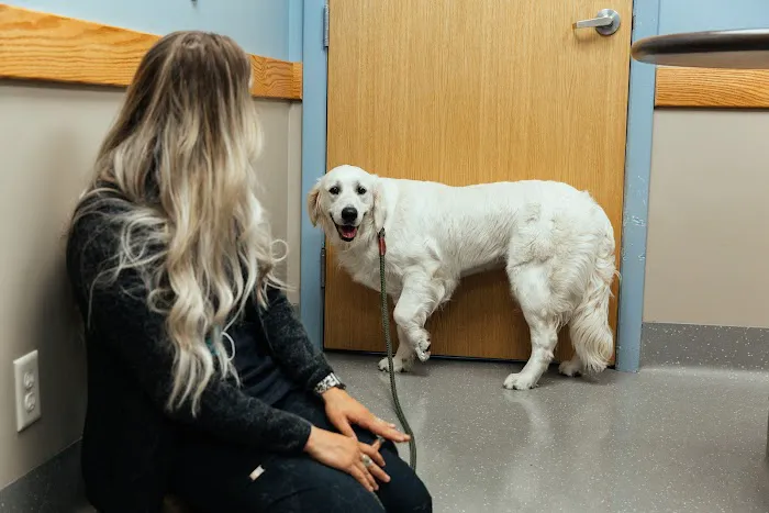 Veazie Veterinary Clinic 5
