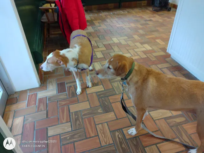 Timberland Animal Hospital 2