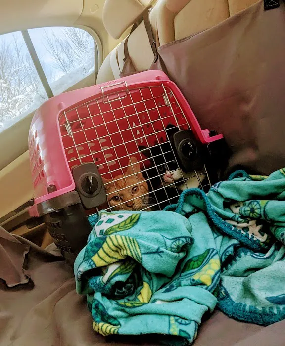Timberland Animal Hospital 7