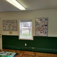Timberland Animal Hospital ico