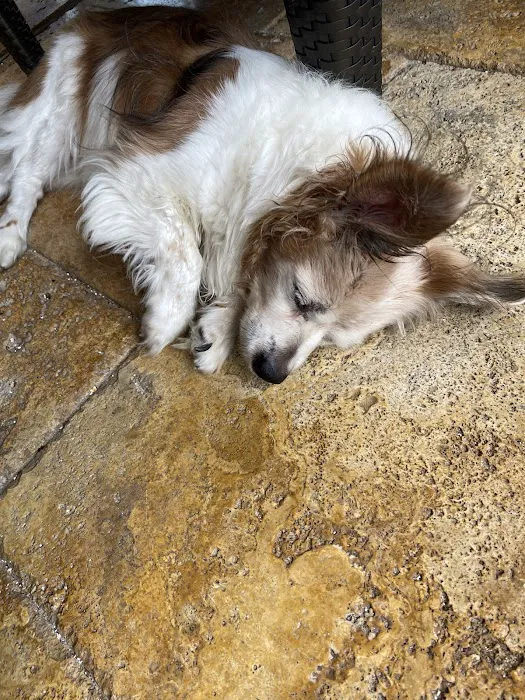 Viamonte Veterinary Clinic 7