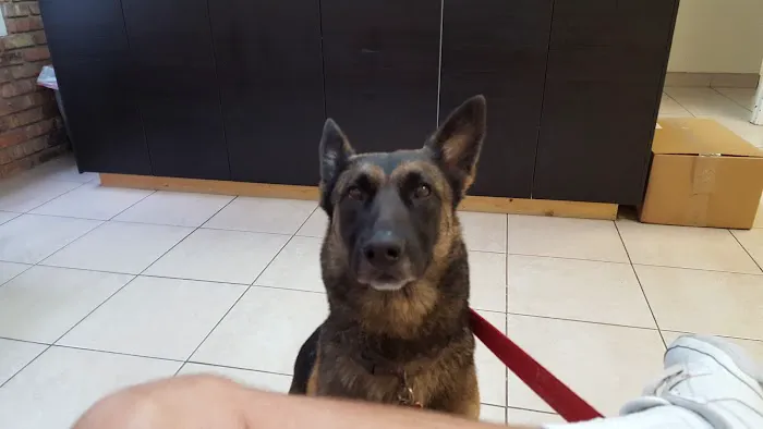 Galloway Animal Hospital 7