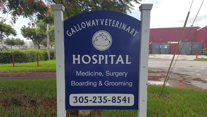 Galloway Animal Hospital 4