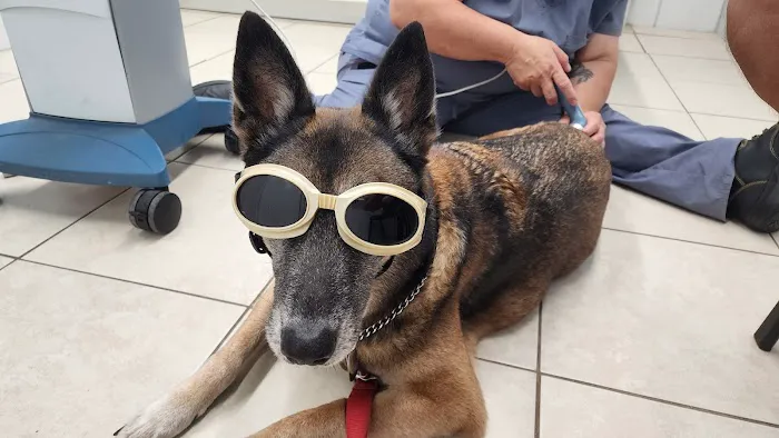 Galloway Animal Hospital 2