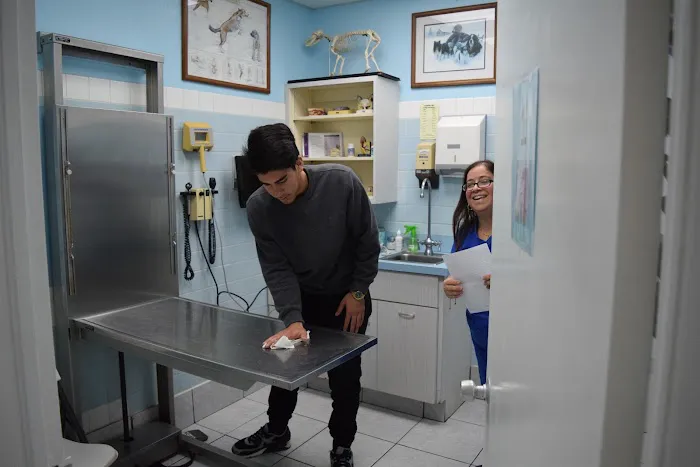 Westchester Animal Hospital 3
