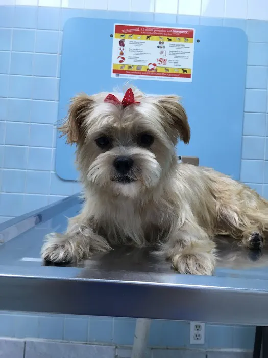 Westchester Animal Hospital 9