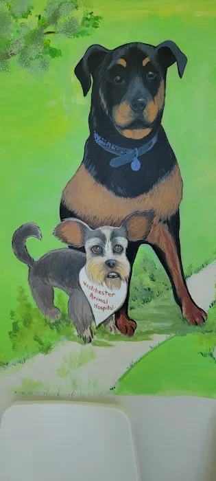 Westchester Animal Hospital 4