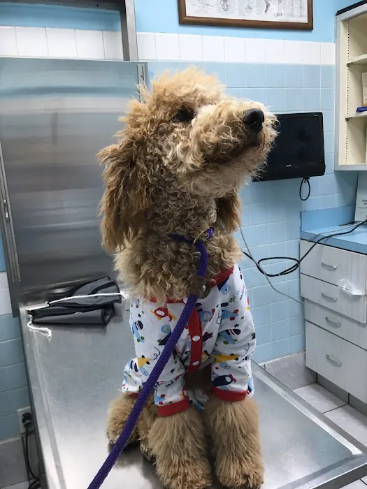 Westchester Animal Hospital 5