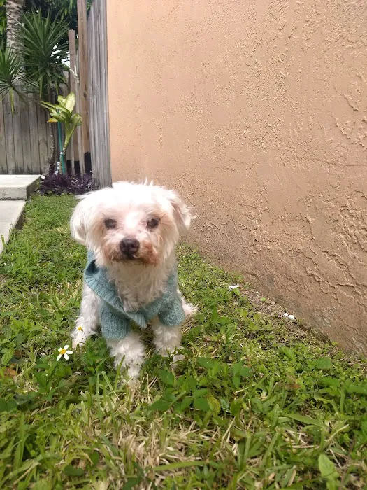 Westchester Animal Hospital 6