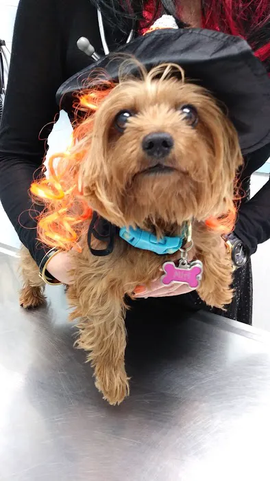 Westchester Animal Hospital 8