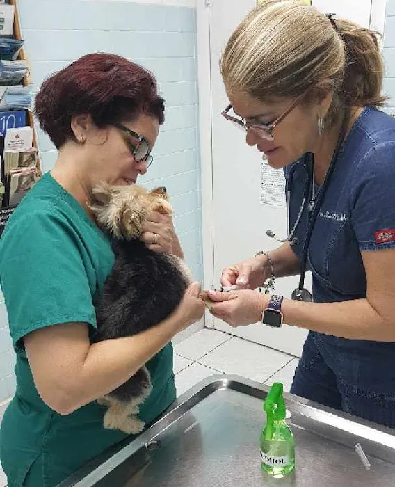 Westchester Animal Hospital 7