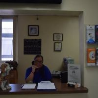 Westchester Animal Hospital ico