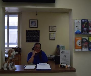Westchester Animal Hospital