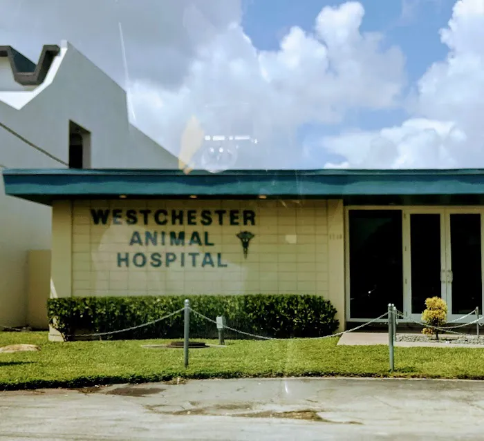 Westchester Animal Hospital 2