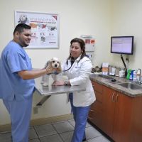 Miller Road Animal Clinic ico