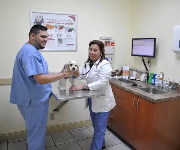 Miller Road Animal Clinic