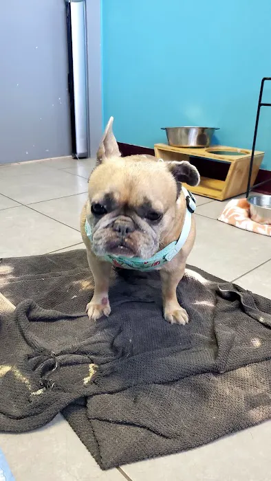 South Dixie Animal Hospital 3