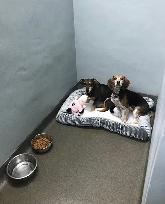 South Dixie Animal Hospital 2
