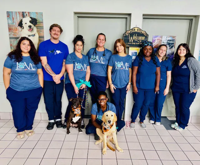 South Dixie Animal Hospital 10