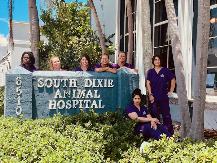 South Dixie Animal Hospital 7