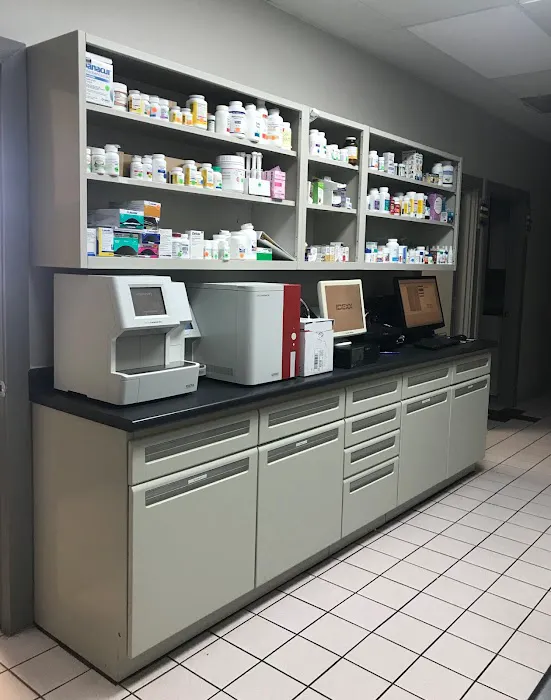 South Dixie Animal Hospital 8