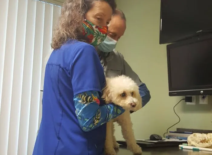 Florida Animal Dentistry 9