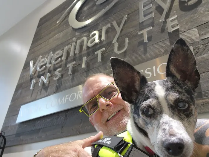 Animal Allergy Skin & Ear Specialist 1