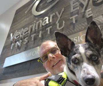 Animal Allergy Skin & Ear Specialist
