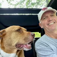 Paddock Paws Veterinary Services ico