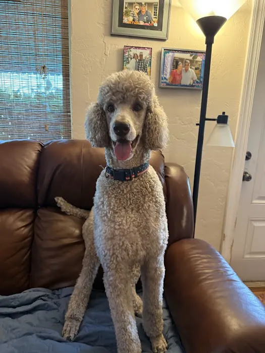 Happy Tails Veterinary Clinic 9