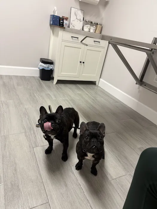 Happy Tails Veterinary Clinic 1
