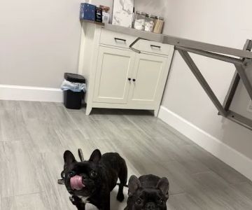 Happy Tails Veterinary Clinic