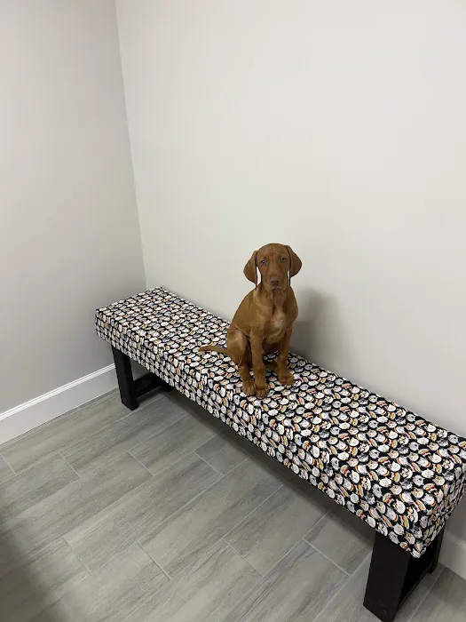 Happy Tails Veterinary Clinic 4