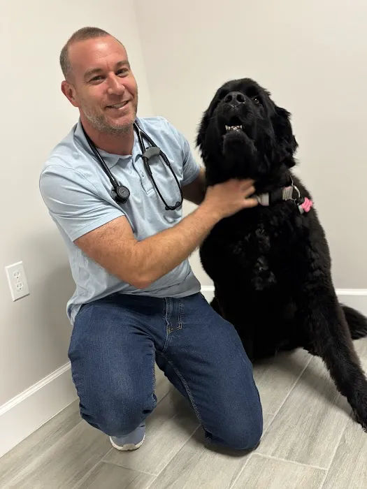 Happy Tails Veterinary Clinic 7