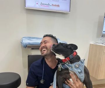 Petfolk Veterinary & Urgent Care - Wellington
