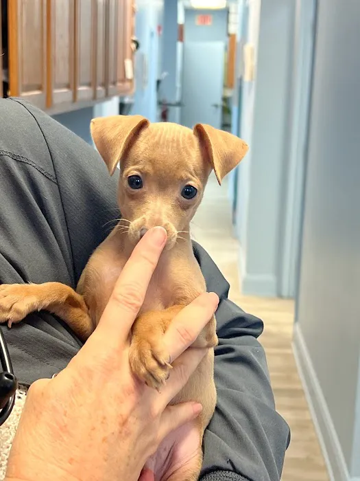 Pebblebrooke Animal Hospital 4