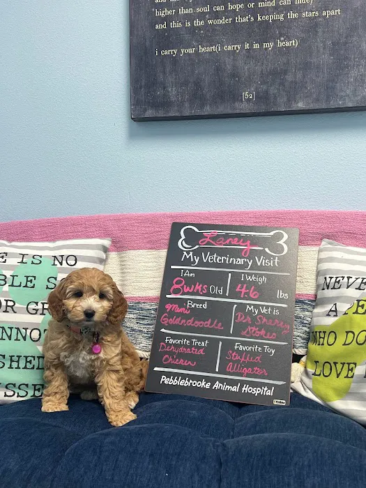 Pebblebrooke Animal Hospital 7