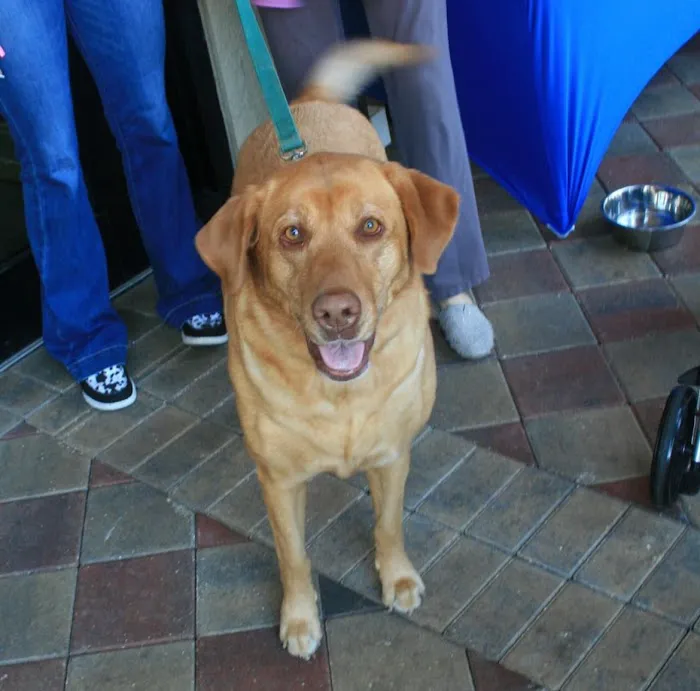 Pebblebrooke Animal Hospital 8
