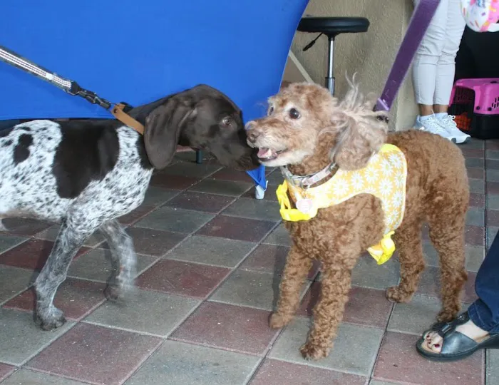 Pebblebrooke Animal Hospital 6