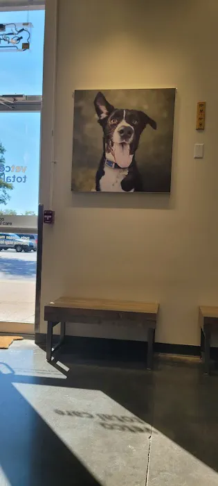Vetco Total Care Animal Hospital 3