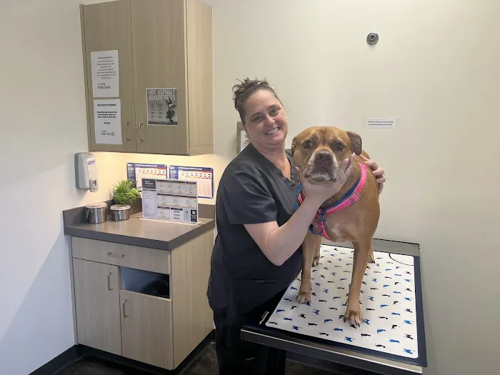 Vetco Total Care Animal Hospital 4