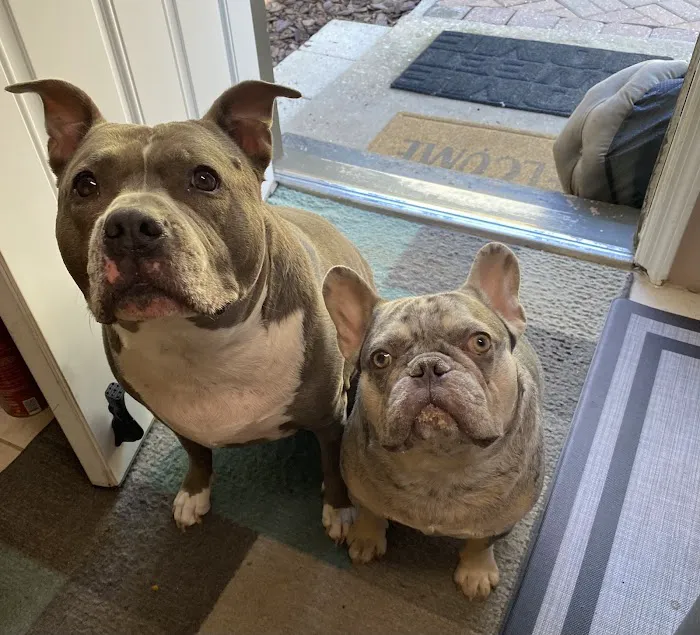 Vetco Total Care Animal Hospital 7
