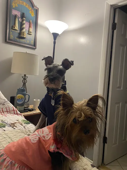 Pro Pet Animal Clinic 2